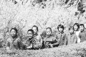 27個贊皇孩子坐上大鼻子校車（圖）