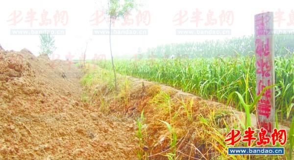 2011年底一名孩子在三輪車上趕作業。一年半過去了，這樣的場景仍隨處可見。