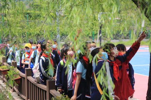雙減下 諸暨這所學(xué)校開啟“神奇校車之旅”