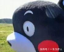 專車接送！咱肥東這38所學校已經開通校車啦，有你家附近的嗎？